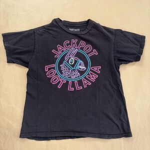 Fortnite Boys Tee Size Medium Llama Grey
